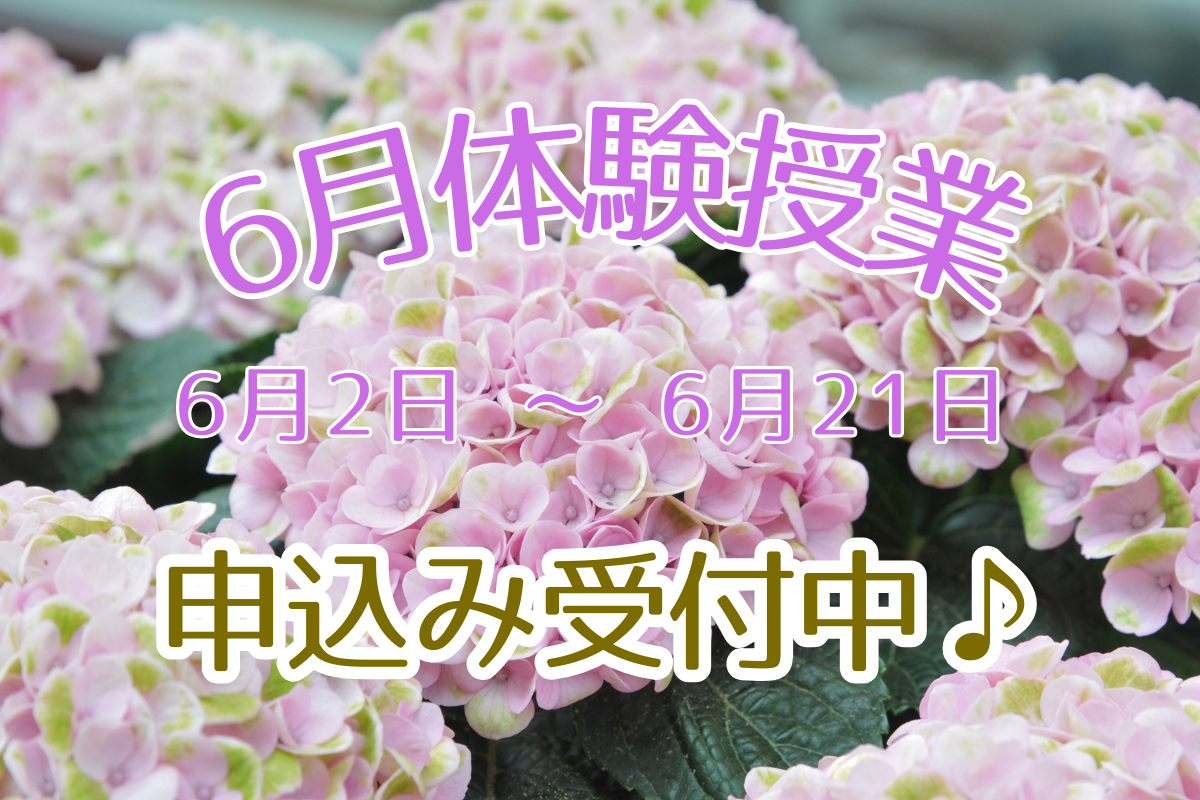 2025年6月体験授業受付中！